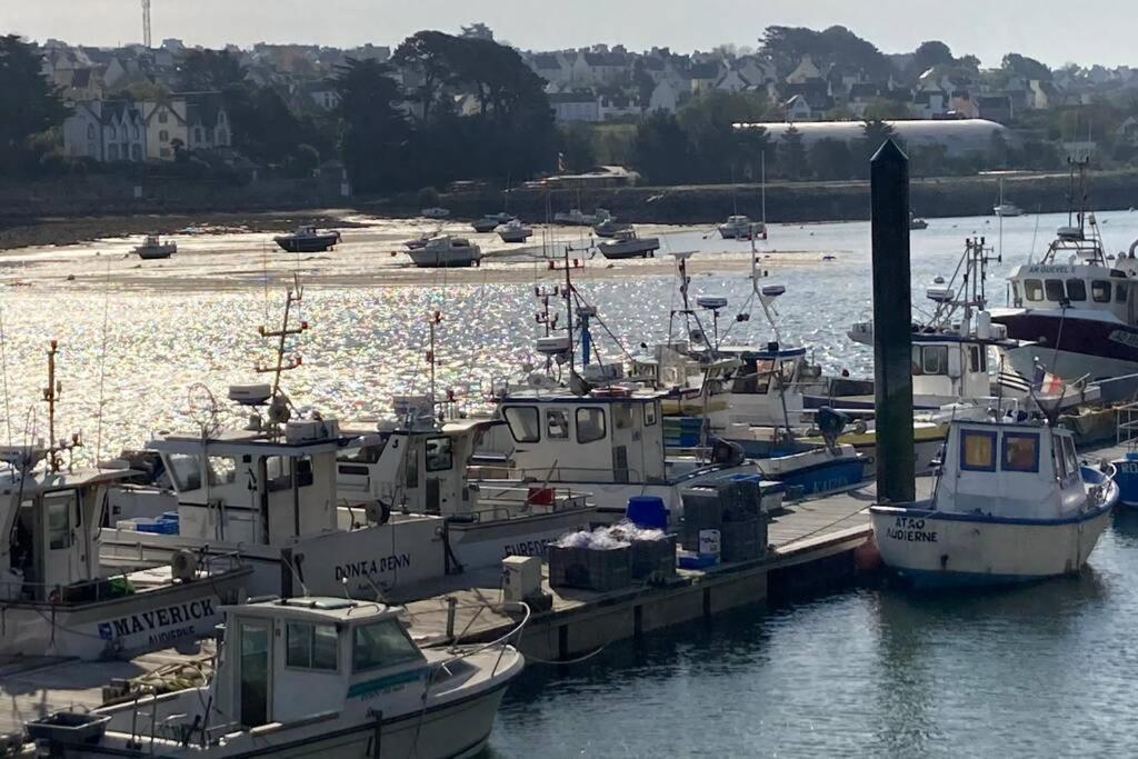 Pen Ty Sur Les Hauteurs- Audierne- Plouhinec Plouhinec  Eksteriør billede
